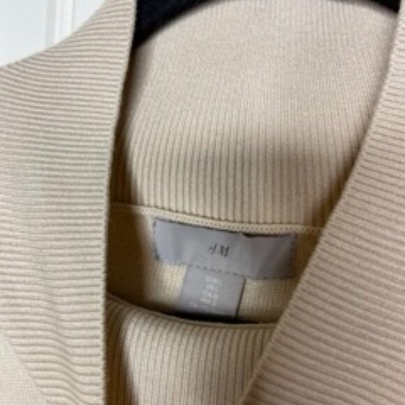 H&M Stripe Mockneck Sweater - Picture 2 of 2